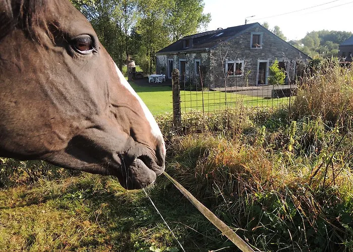 Ferienhaus Parenthese En Ardenne *